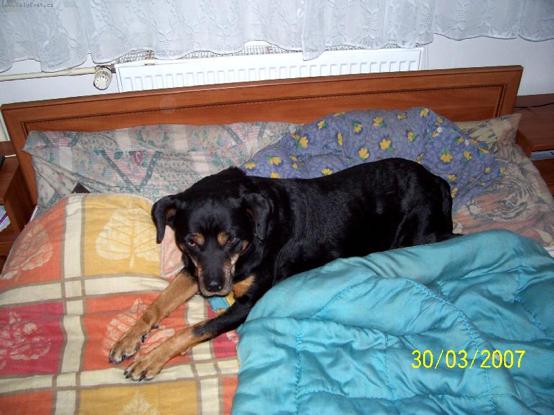 Foto: Arinka